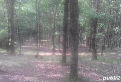 Teren în Central - 2