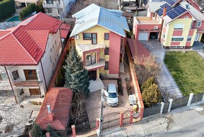 Casă Palazu Mare | Ideală pentru familie extinsă sau activitate mixta - 18