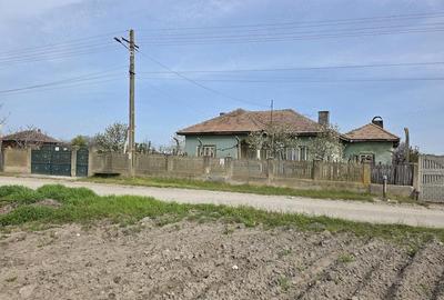 Casă cu 3 camere cu Teren 3600 Mp în Celaru - 10