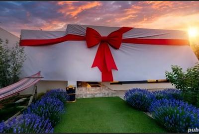 Casa de vanzare in apropiere de Hornbach Buziasului - 8