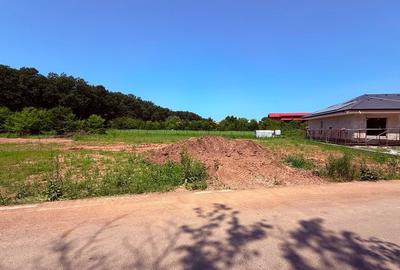 Snagov – Vilă autorizată + teren 1.236 mp, zonă rezidențială premium - 4