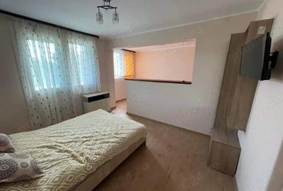 Casă cu 2 camere în Crucișor - 10