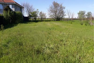 Casă individuală cu 4 camere cu Teren 1270 Mp în Valu lui Traian - 6