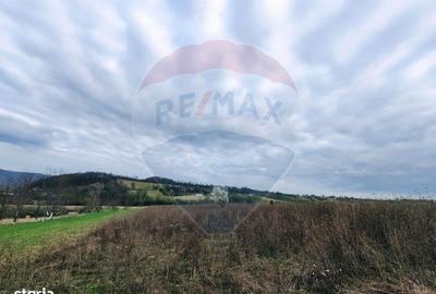 Spațiu comercial, în Copalnic - 1