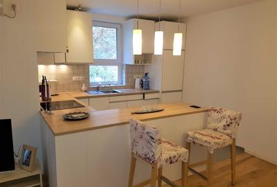 HERASTRAU, 2 camere lux, etaj 1, mobilat ultramodern, în  vila noua - 3
