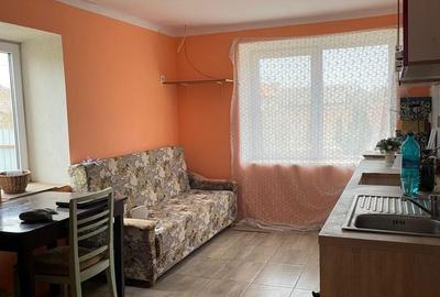 Casă cu 4 camere în Șeitin - 3
