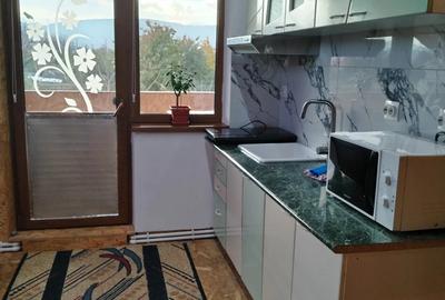 Inchiriez apartament 2cam.situat la etaj in vila la curte in Dumbrava-Rosie. - 2