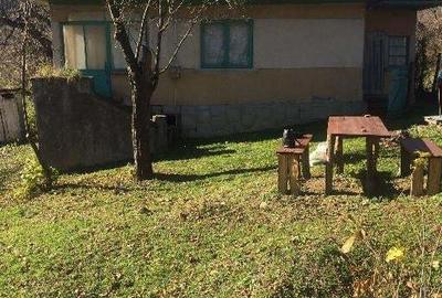 Teren de 5265 mp, în Teișani - 6