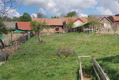 Casă cu 4 camere cu Teren 1032 Mp în Târnova - 8