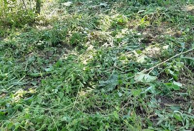 Casă cu 1 camere în Central - 5