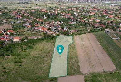 Teren extravilan Urseni, Timis - 4