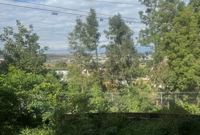Vanzare casa la rosu Sfantu Ilie langa Caminul Cultural - 300 mp teren! - 19