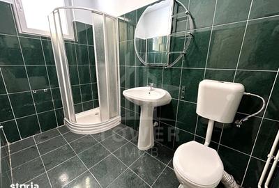Spațiu comercial, de 200 mp, în Vasile Aaron - 13