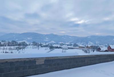 Hotel/Pensiune, de 20 mp, în Leordina - 6