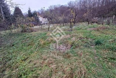 Teren Construcții intravilan de 1300 mp, în Periferie - 1