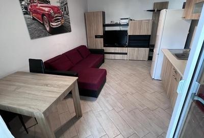 Apartament tip studio 40 mp/ Metalurgiei/ sector 4 - 7