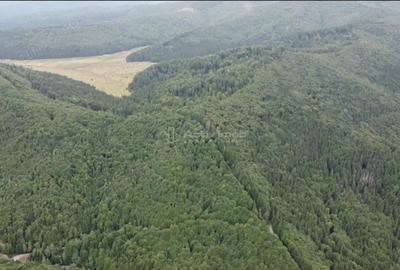 Teren de 69450 mp, în Arefu - 8