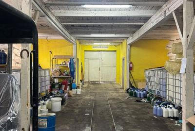 Spațiu comercial, de 150 mp, în Borș - 1