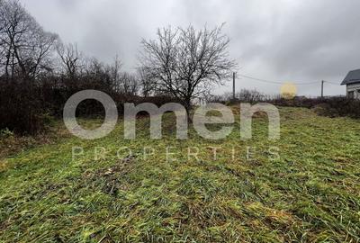 Teren Construcții intravilan de 3000 mp, în Mocira - 4