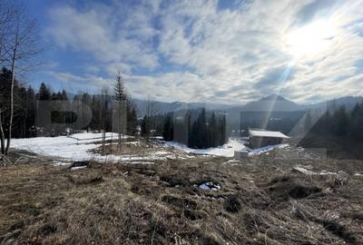 Teren intravilan de vanzare, 15 ari, zona COLIBITA - 4