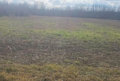 Spațiu comercial, în Poiana Lacului - 5