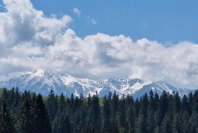 Teren 2.763 mp Poiana Brașov – lângă Stâna Turistică Sergiana - 3