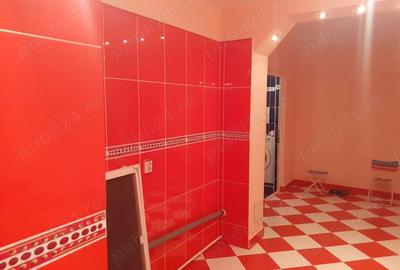 Vanzare Apartament 2 camere cf.1 dec. etajul 1, suprafata totala 54.mp., liber, Zona Buzaului . - 12