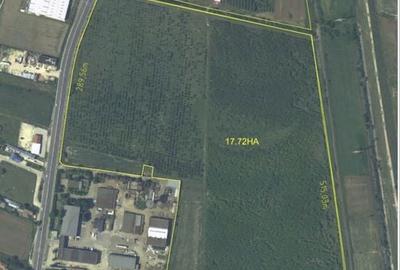 Spațiu comercial, în Mărăcineni - 4