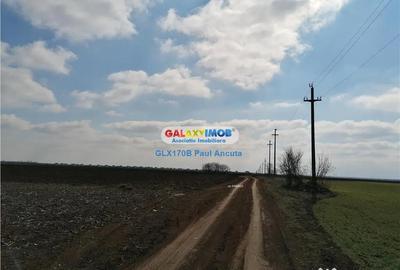 Teren de 12500 mp, în Balotești