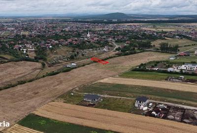 Spațiu comercial, în Cihei - 3