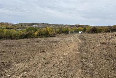 Terenuri de vanzare Saldabagiu de Munte - zona lac 625-1057 mp - front stradal 26 metri - 1