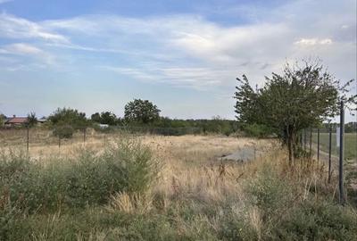 Spațiu comercial, în Malu - 4