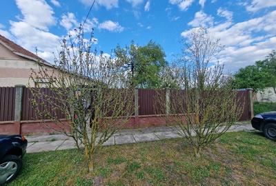 Casă cu 2 camere cu Teren 2700 Mp în Central - 5