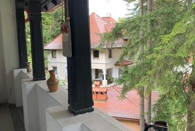 Apartament in vila cu arhitectura neoromaneasca + 917mp teren in curte amenajata - 9
