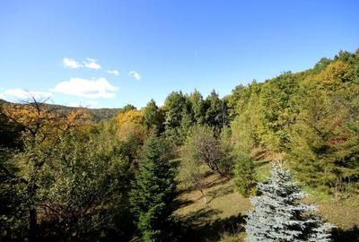 Vanzare vila Valenii de Munte - Drajna de Sus, judet Prahova - 17