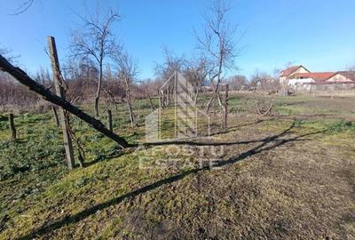 Casă cu Teren 2158 Mp în Freidorf - 4