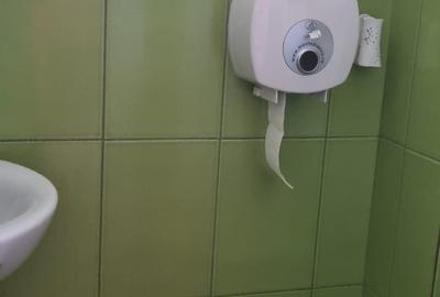 Iancului , Vatra Luminoasa - 14