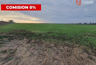 Comision 0% Teren extravilan agricol 21,32 ha sau intravilan cu PUZ aprobat - 12