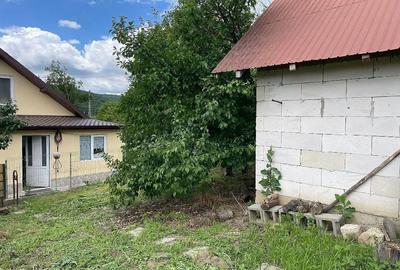 Casă cu 3 camere cu Teren 2000 Mp în Schitu Duca - 4