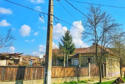 Casă cu Teren 2000 Mp în Sâniob - 4