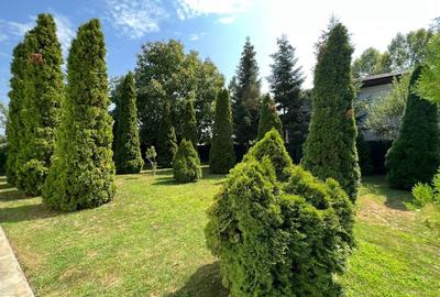 Snagov, vila 8 camere Snagov, vila 8 camere - 12