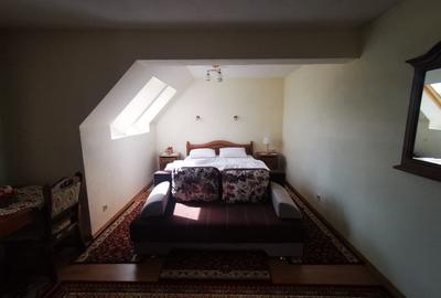 Vand un mic castel D+P+M , in zona Corunca, unde se poate locui gratis, - 5