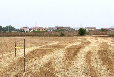 Teren de 400 mp, în Exterior Vest - 1