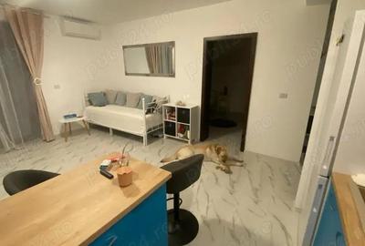 Apartament cu 2 camere semidecomandat în Chișoda - 2