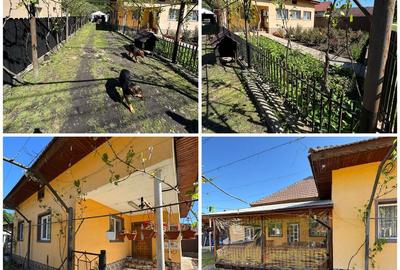 Casă cu 4 camere în Boca - 3
