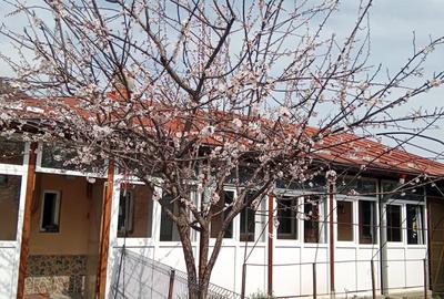 Casa cu incalzire centrala Dobroesti, Ilfov - 2