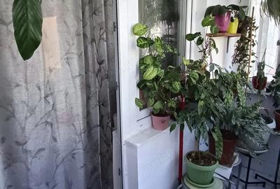 Apartament cu 2 camere nedecomandat în Aradului - 5