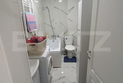 Apartament cu 2 camere semidecomandat în Ciurea - 1