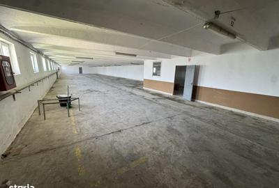 Spațiu comercial, de 1,250 mp, în Careiului - 5