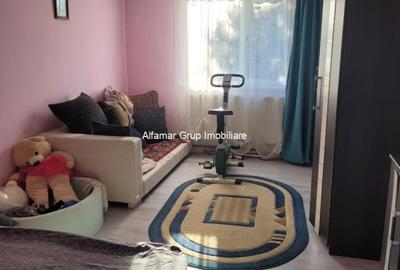 Vanzare proprietate cu 2 case Zurbaua- Dragomiresti Vale - 5